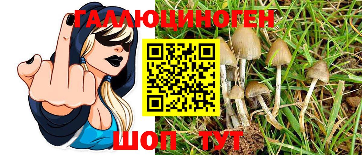 Псилоцибиновые грибы GOLDEN TEACHER Кингисепп