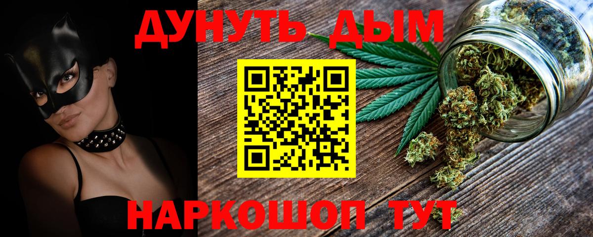 Каннабис сатива Кингисепп